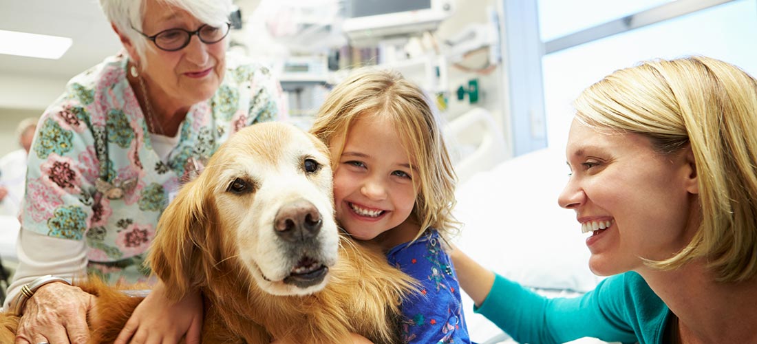 Perioperative Pet Therapy
