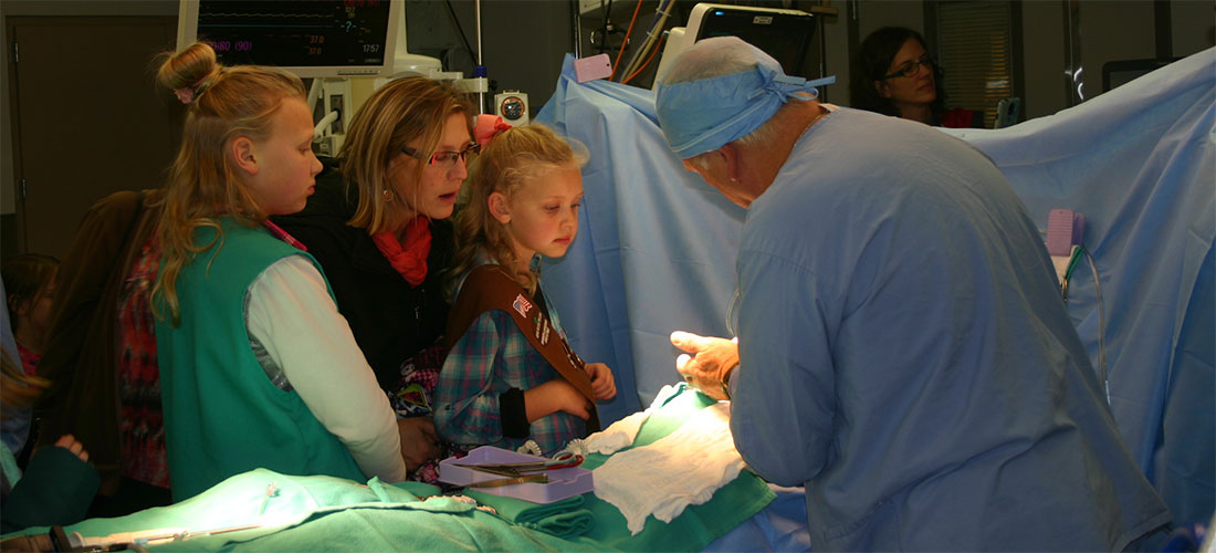 4 Tips to Host Your Surgery Open House