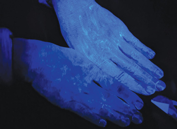 UV Light