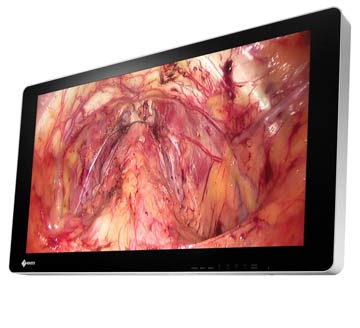 4K UHD Widescreen Monitor With 3D Displa\y
