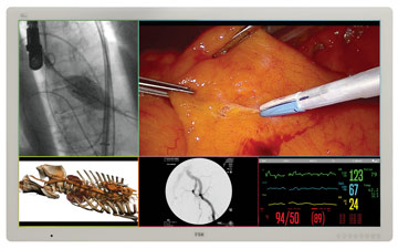 FSN Medical Technolog\ies