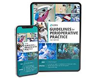 2027-eBook- -Phone-Mockup_208x163 2027 AORN Guidelines eBook.