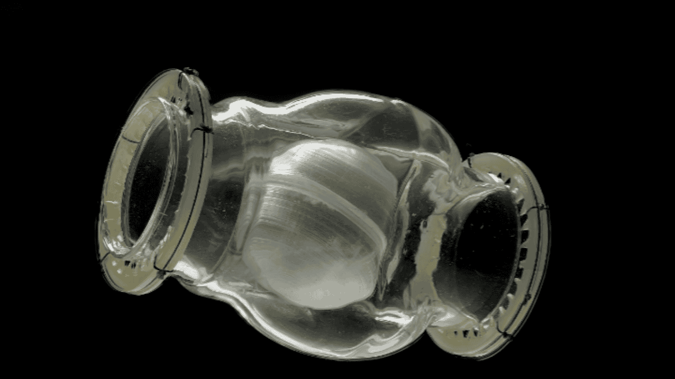 heart valve the stitch heart valve