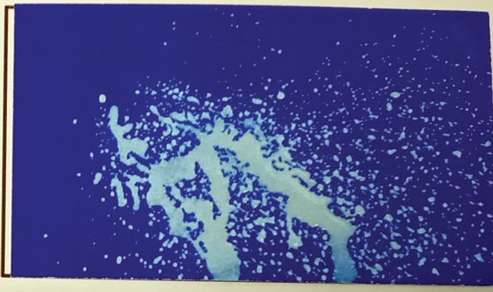 Blue Card