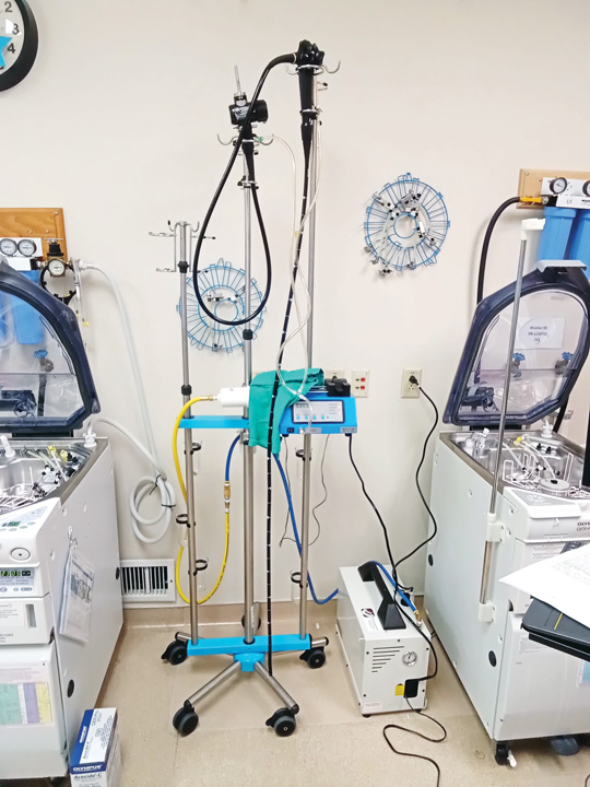 Endoscope drying
